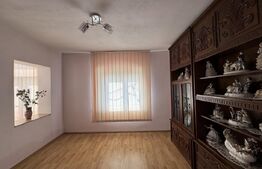 Casa pe parter, 175 mp utili, 858 mp teren, Balta Verde