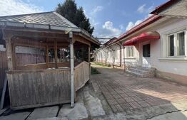 Casa pe parter, 175 mp utili, 858 mp teren, Balta Verde