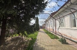 Casa pe parter, 175 mp utili, 858 mp teren, Balta Verde