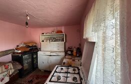 Casa pe parter, 175 mp utili, 858 mp teren, Balta Verde