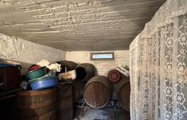 Casa pe parter, 175 mp utili, 858 mp teren, Balta Verde