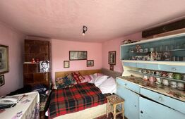 Casa pe parter, 175 mp utili, 858 mp teren, Balta Verde