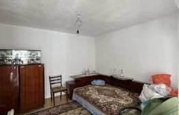 Casa pe parter, 175 mp utili, 858 mp teren, Balta Verde