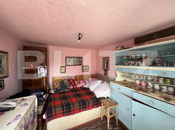 Casa de vânzare 7 camere Balta Verde - 168568CV | BLITZ Craiova | Poza25