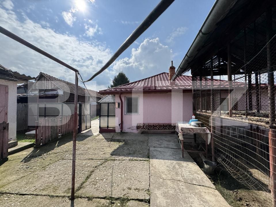 Casa de vânzare 7 camere Balta Verde - 168568CV | BLITZ Craiova | Poza7