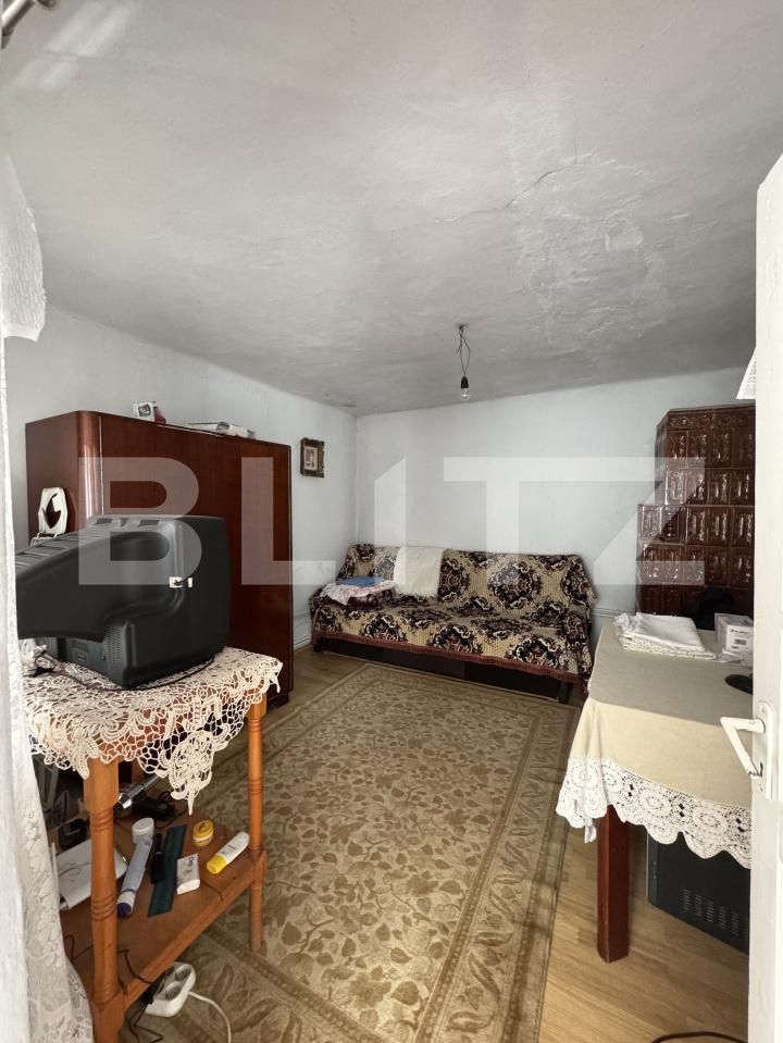 Casa de vânzare 7 camere Balta Verde - 168568CV | BLITZ Craiova | Poza19