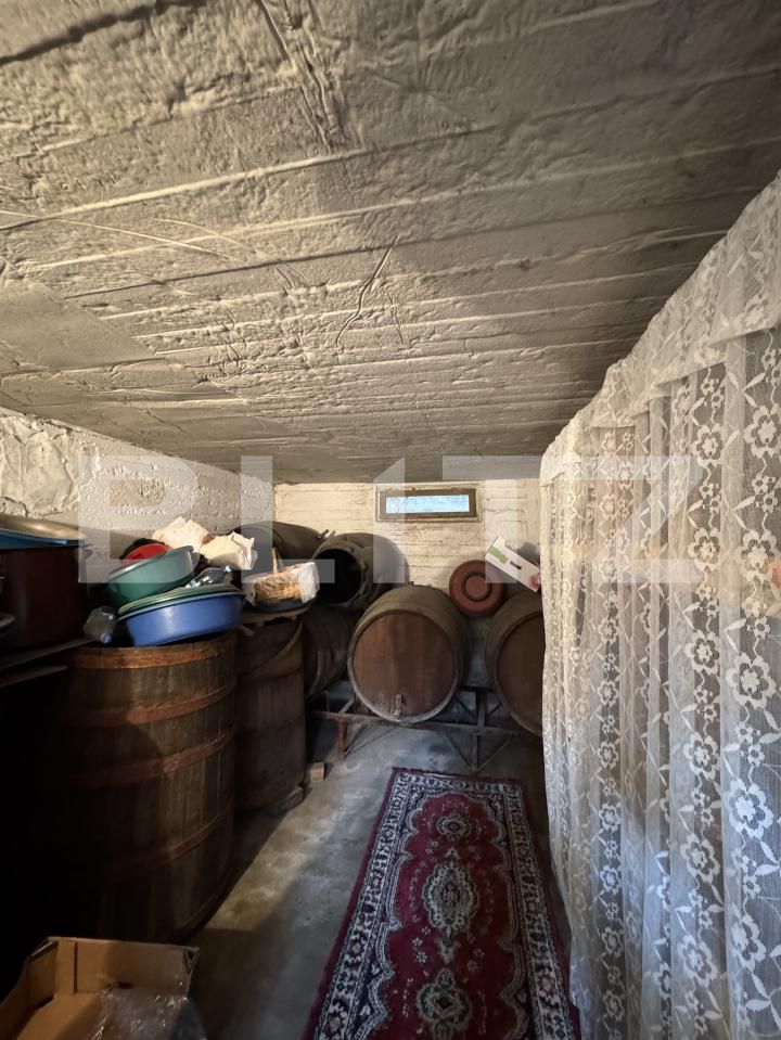 Casa de vânzare 7 camere Balta Verde - 168568CV | BLITZ Craiova | Poza11