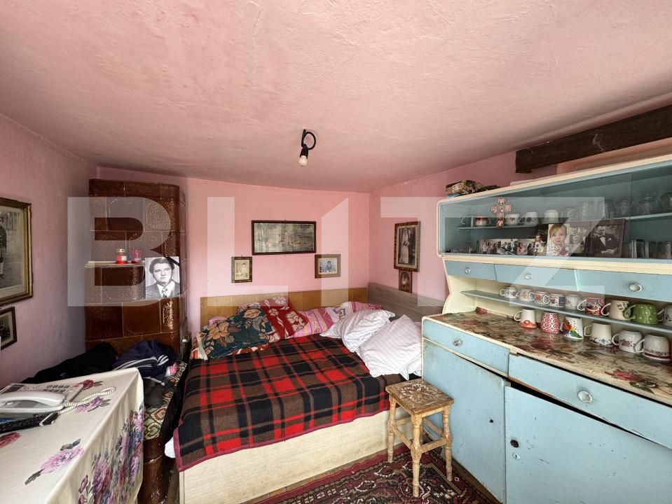 Casa de vânzare 7 camere Balta Verde - 168568CV | BLITZ Craiova | Poza25