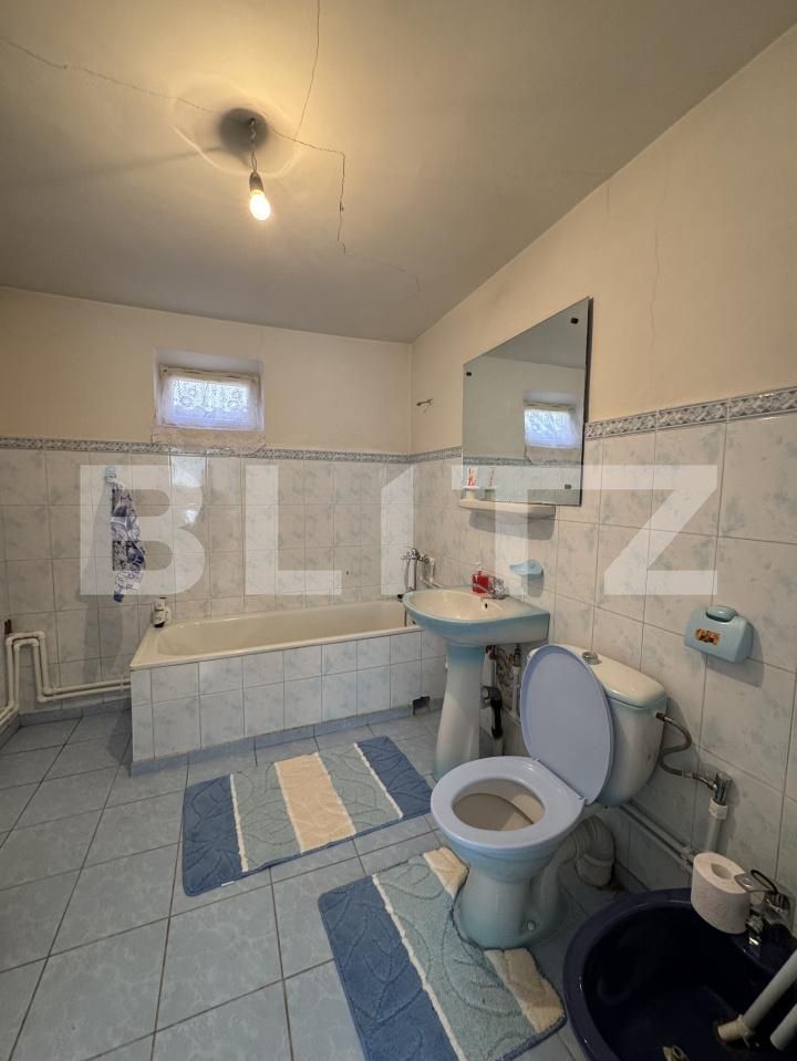 Casa de vânzare 7 camere Balta Verde - 168568CV | BLITZ Craiova | Poza17