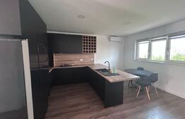 Casă P + E mobilată și utilată complet, 148 mp utili, 405 mp teren, zona Ford