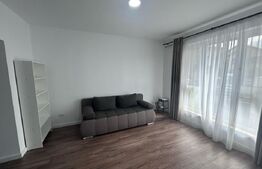 Casă P + E mobilată și utilată complet, 148 mp utili, 405 mp teren, zona Ford