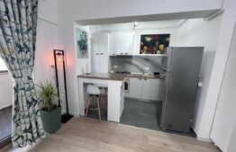 Garsoniera, 39 mp, incalzire in pardoseala, Brazda lui Novac, Zona Guliver