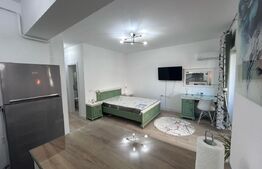 Garsoniera, 39 mp, incalzire in pardoseala, Brazda lui Novac, Zona Guliver