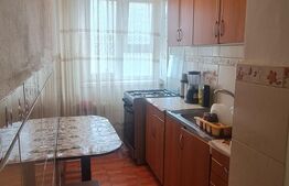 Apartament de vanzare, cu 3 camere, 50 mp, zona Niela-Craiovita Noua