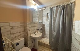 Apartament decomandat, 2 camere, 52 mp, cartier Rovine, zona Borcanul cu Miere