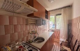 Apartament semidecomandat, 2 camere, zona Niela-Craiovița Nouă