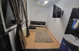 Camera de camin, de vanzare, 13 mp, zona Valea Rosie