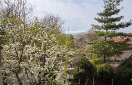 Propietate cu 2 case si spatiu comercial, 585 mp teren, intersectia cu agronomia