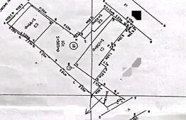 Propietate cu 2 case si spatiu comercial, 585 mp teren, intersectia cu agronomia
