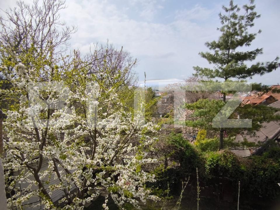 Casa de vânzare 20 camere Central - 168823CV | BLITZ Craiova | Poza5