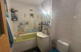 Apartament decomandat, 2 camere, 54 mp, Lapus Arges, zona Trenul Pierdut