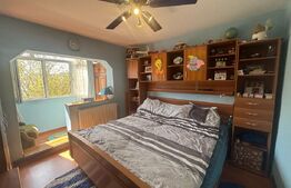 Apartament decomandat, 2 camere, 54 mp, Lapus Arges, zona Trenul Pierdut