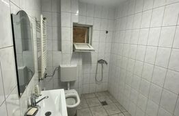 Cladire S+P+M 379 mp, teren 374 mp, afacere azil, zona Parc Romanescu