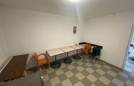 Cladire S+P+M 379 mp, teren 374 mp, afacere azil, zona Parc Romanescu