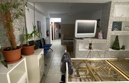 Cladire S+P+M 379 mp, teren 374 mp, afacere azil, zona Parc Romanescu