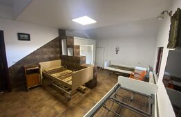 Cladire S+P+M 379 mp, teren 374 mp, afacere azil, zona Parc Romanescu
