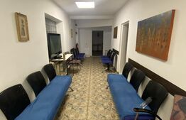 Cladire S+P+M 379 mp, teren 374 mp, afacere azil, zona Parc Romanescu