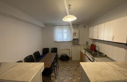 Cladire S+P+M 379 mp, teren 374 mp, afacere azil, zona Parc Romanescu