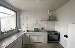 Cladire S+P+M 379 mp, teren 374 mp, afacere azil, zona Parc Romanescu