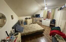 Cladire S+P+M 379 mp, teren 374 mp, afacere azil, zona Parc Romanescu