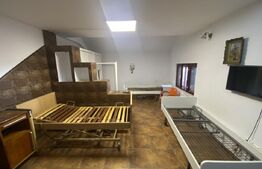 Cladire S+P+M 379 mp, teren 374 mp, afacere azil, zona Parc Romanescu