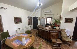 Cladire S+P+M 379 mp, teren 374 mp, afacere azil, zona Parc Romanescu