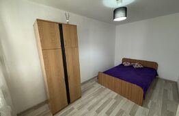 Apartament cu 2 camere 45 mp, Petfrendly, centrala termica, Craiovita 