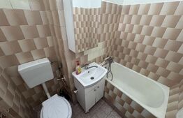 Apartament cu 2 camere 45 mp, Petfrendly, centrala termica, Craiovita 