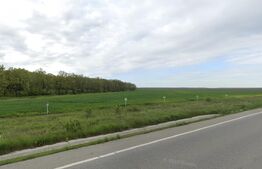 Teren extravilan, 8,7 ha, deschidere E79, zona Podari