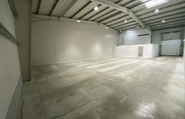 Spațiu industrial de închiriat Carcea  - 178904SII | BLITZ Craiova | Poza1