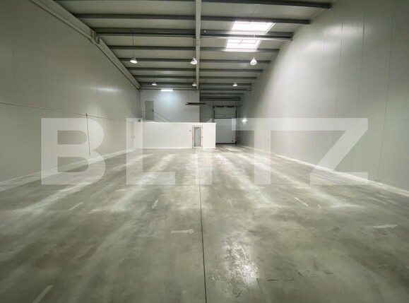 Spațiu industrial de închiriat Exterior Est - 169032SII | BLITZ Craiova | Poza3