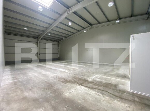 Spațiu industrial de închiriat Exterior Est - 169032SII | BLITZ Craiova | Poza2