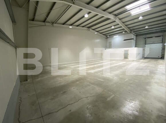 Spațiu industrial de închiriat Exterior Est - 169032SII | BLITZ Craiova | Poza1