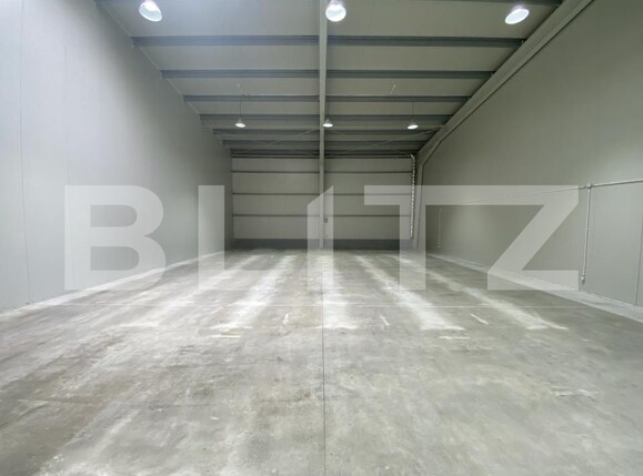 Spațiu industrial de închiriat Exterior Est - 169032SII | BLITZ Craiova | Poza4