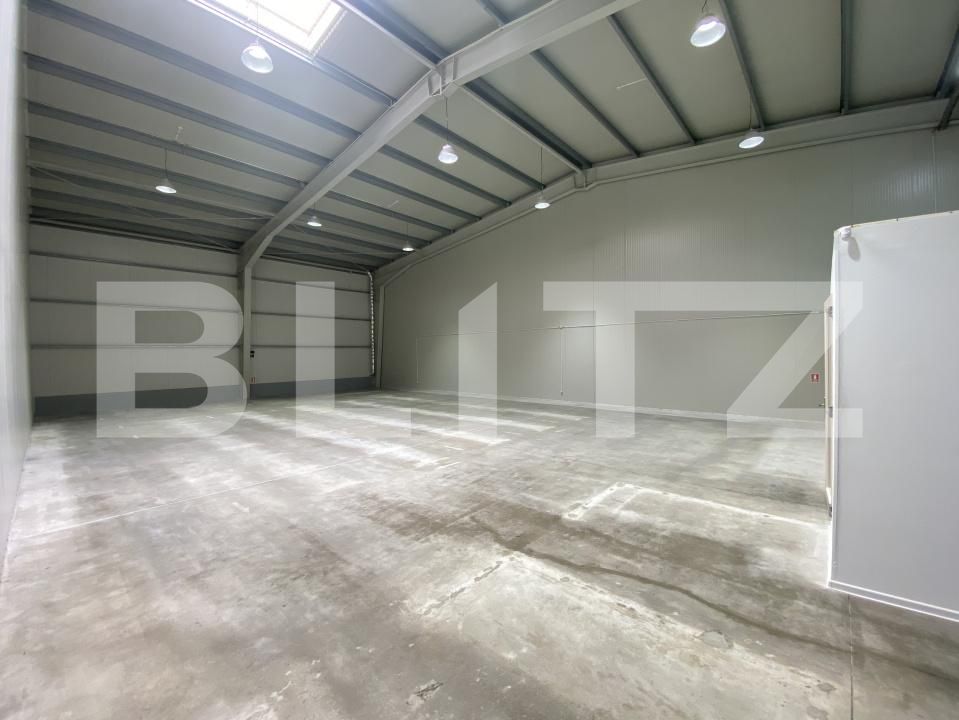 Spațiu industrial de închiriat Exterior Est - 169032SII | BLITZ Craiova | Poza2