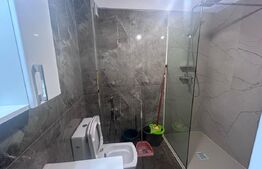 Apartament cu 2 camere, 44 mp, prima inchiriere, bloc nou, zona Brazda lui Novac