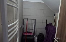 Apartament cu 3 camere, decomandat, mobilat/utilat, 94 mp, zona Gradina Botanica