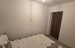 Apartament cu 3 camere, decomandat, mobilat/utilat, 94 mp, zona Gradina Botanica