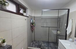 Apartament cu 3 camere, decomandat, mobilat/utilat, 94 mp, zona Gradina Botanica