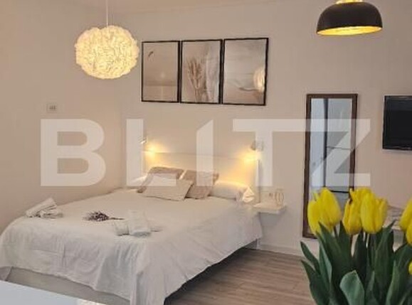 Garsonieră de închiriat Brazda lui Novac - 169145AI | BLITZ Craiova | Poza1